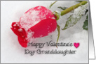 Granddaughter Pink Rose Valentine, Pink rose in snow card
