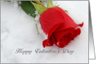 Red Rose Valentine, red rose in snow card