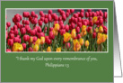 Tulips Blank Notecard, red and yellow tulips Scripture card