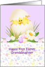 Granddaughter 1st Easter, eggs, flowers, Baby chick in egg card
