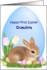 Grandson 1st Easter, eggs, flowers, bunny card