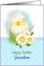 Grandson Easter, egg, flowers, baby chick card