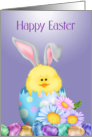 Happy Easter Chick-Bunny, chick-bunny in egg card