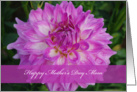 Mom Mother’s Day, Purple dahlia close up card