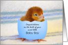 Congratulations on your Baby Boy, chick in egg card