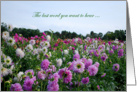 Cancer, the last word, field of dahlia flowers card