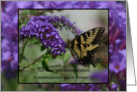 Butterfly Getwell, Monarch butterfly on purple bush card