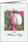 Mother’s Day White Tulips, White Tulips on pink Background card