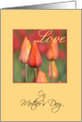 Love on Mother’s Day, orange tulips card