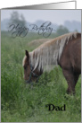 Horse Happy Birthday Dad, horse in pasture grazing card
