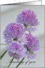 Thinking of You, purple chive flowers card