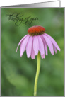 Thinking of You, purple cone flower card