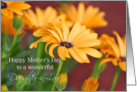 Happy Mother’s Day Daughter-In-Law, Orange Daisy card