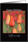 Happy Birthday Sister-in-law, Tulips card