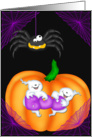 Boo Halloween, Pumpkin, spider, ghosts card