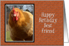Happy Birthday Best Friend, Chicken card