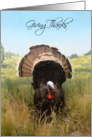 Giving Thanks, turkey thanksgiving card