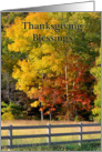 Thanksgiving Blessings, Fall Trees, Fence card
