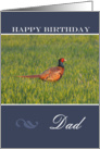 Happy Birthday Dad, Pheasant in the grass card