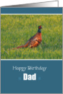 Happy Birthday Dad, Pheasant in the grass card