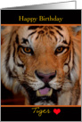 Happy Birthday Tiger, Sweetheart, tiger close up card