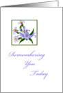 Remembering You Today, Purple Lily and Daisies card