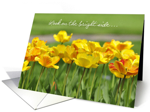 Look on the bright side, yellow tulips card (1042851)