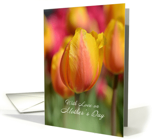 With Love on Mother's Day, pink & yellow tulips card (1091454)