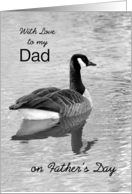 Dad on Father’s Day with love BW Duck in water card