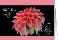 With Love Sister on your Birthday, Pink Dahlia card
