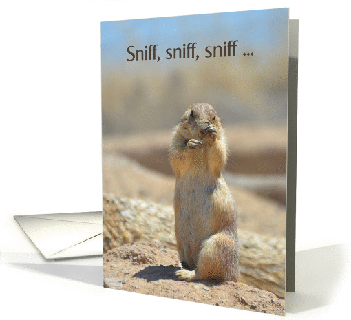 Saying Goodbye, Prairie Dog card (1137640)