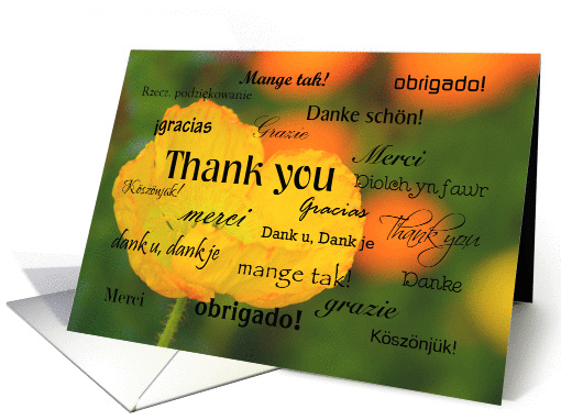 Thank you in different languages, yellow poppy card (1138944)