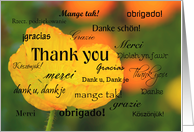 Thank you in different languages, yellow poppy card