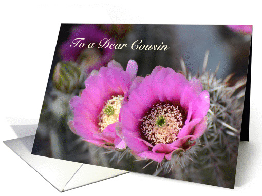 Happy Cousins Day, Cactus Flowers card (1143508)