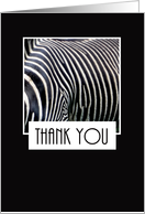 Thank You Zebra...