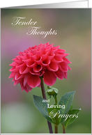 Tender Thoughts and Loving Prayers, Mastectomy card