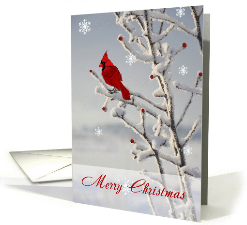 Merry Christmas Cardinal, Winter Scene card (1195544)