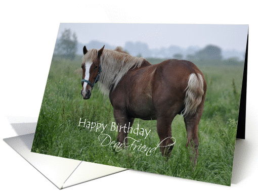 Dear Friend Birthday, Horse in Meadow card (1226788)