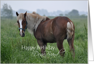Dear Friend Birthday, Horse in Meadow card