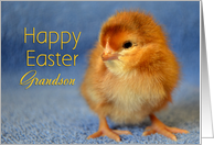 Happy Easter Grandson Chick card