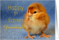 Granddaughter Happy 1st Easter Baby Chick card