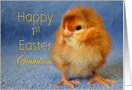 Happy 1st Easter Grandson, baby chick card