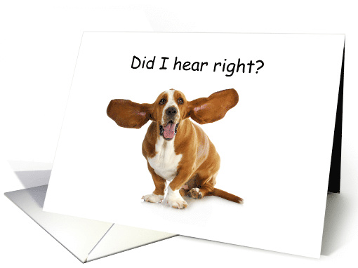 Funny Dog Eared Dog Birthday card (1242482)