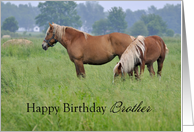 Brother Birthday, two horses card