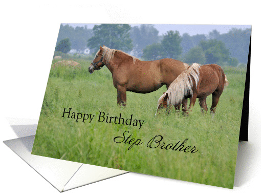 Step Brother Birthday, Two Horses card (1244398)