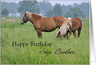 Step Brother Birthday, Two Horses card