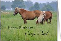 Step Dad Birthday, Two Horses card