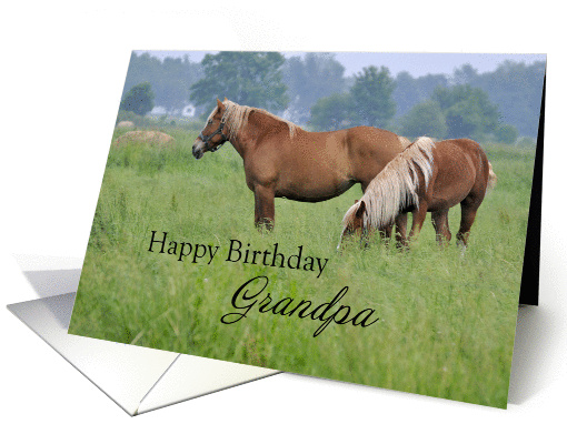Grandpa Birthday, Two Horses card (1244626)