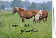 Grandpa Birthday, Two Horses card