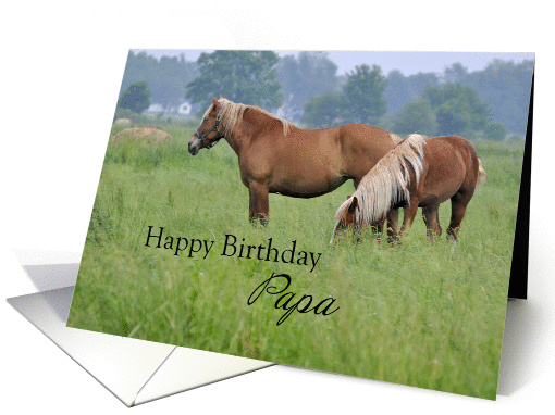 Papa Birthday, Two Horses card (1244636)